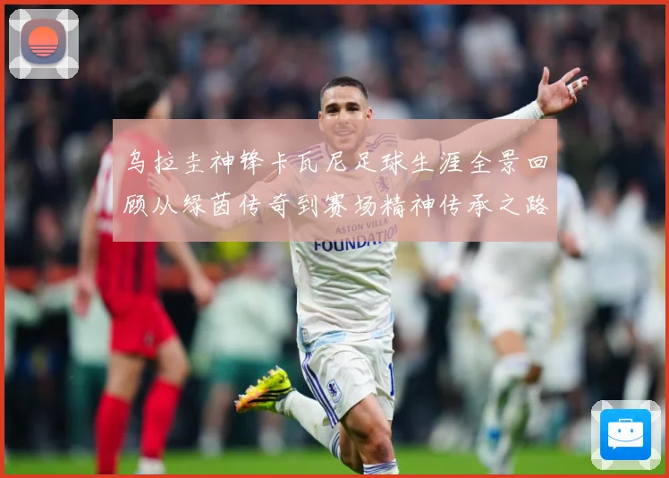 乌拉圭神锋卡瓦尼足球生涯全景回顾从绿茵传奇到赛场精神传承之路-深度解析